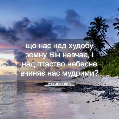 Picture 05 - Йов 35:11 UKR - що нас над худобу земну Він - Bible Verse Picture
