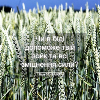 Picture 05 - Йов 36:19 UKR - Чи в біді допоможе твій - Bible Verse Picture
