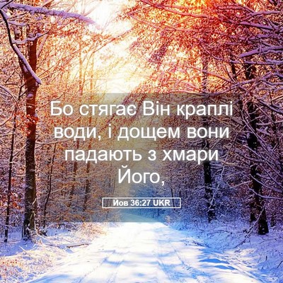 Picture 05 - Йов 36:27 UKR - Бо стягає Він краплі води, - Bible Verse Picture