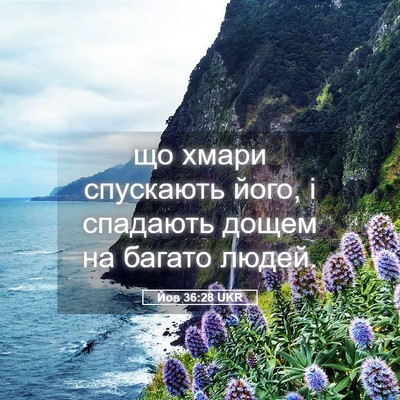 Picture 05 - Йов 36:28 UKR - що хмари спускають його, і - Bible Verse Picture