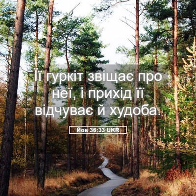 Picture 05 - Йов 36:33 UKR - Її гуркіт звіщає про неї, і - Bible Verse Picture