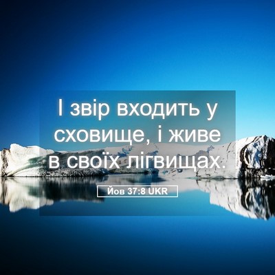 Picture 05 - Йов 37:8 UKR - І звір входить у сховище, і - Bible Verse Picture