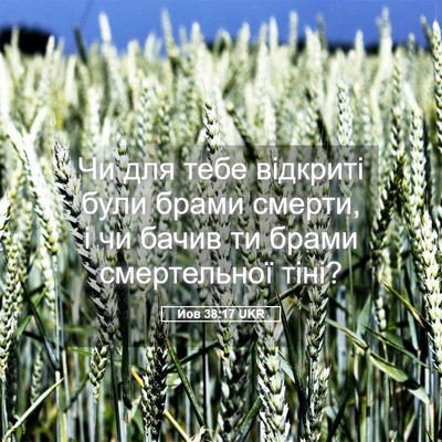 Picture 05 - Йов 38:17 UKR - Чи для тебе відкриті були - Bible Verse Picture