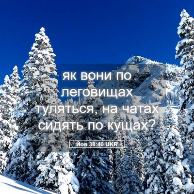 Picture 05 - Йов 38:40 UKR - як вони по леговищах - Bible Verse Picture