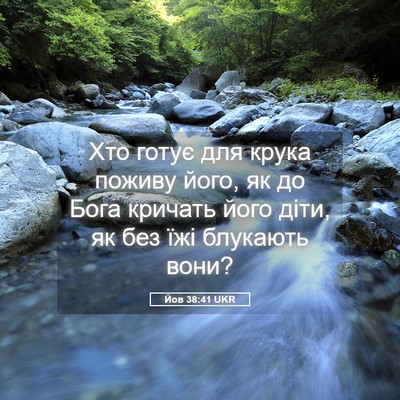 Picture 05 - Йов 38:41 UKR - Хто готує для крука поживу - Bible Verse Picture