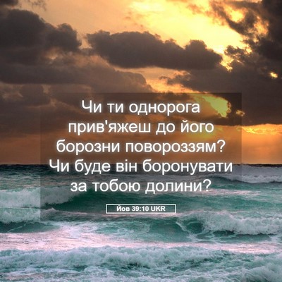 Picture 05 - Йов 39:10 UKR - Чи ти однорога прив'яжеш до - Bible Verse Picture