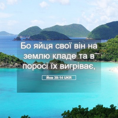 Picture 05 - Йов 39:14 UKR - Бо яйця свої він на землю - Bible Verse Picture
