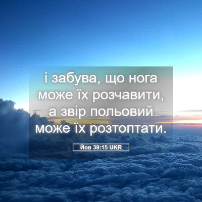 Picture 05 - Йов 39:15 UKR - і забува, що нога може їх - Bible Verse Picture