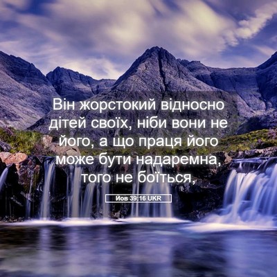 Picture 05 - Йов 39:16 UKR - Він жорстокий відносно - Bible Verse Picture