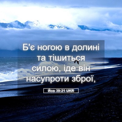 Picture 05 - Йов 39:21 UKR - Б'є ногою в долині та - Bible Verse Picture