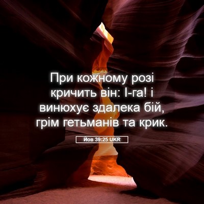 Picture 05 - Йов 39:25 UKR - При кожному розі кричить - Bible Verse Picture