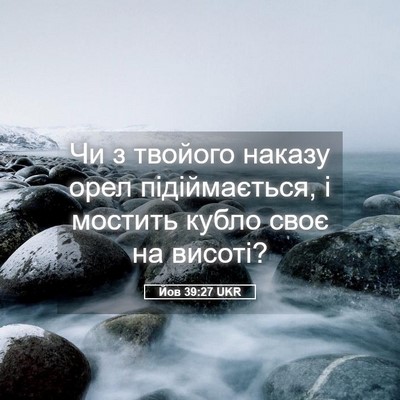 Picture 05 - Йов 39:27 UKR - Чи з твойого наказу орел - Bible Verse Picture