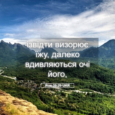 Picture 05 - Йов 39:29 UKR - ізвідти визорює їжу, - Bible Verse Picture