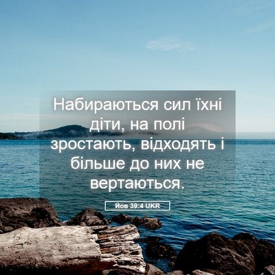 Picture 05 - Йов 39:4 UKR - Набираються сил їхні діти, - Bible Verse Picture