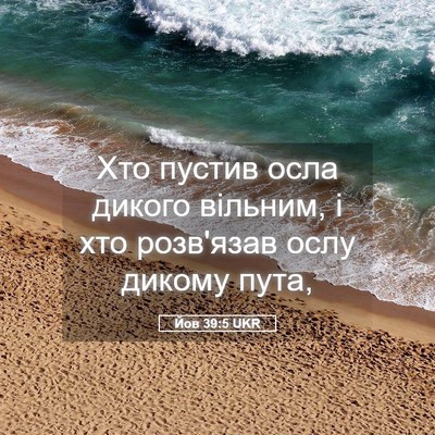 Picture 05 - Йов 39:5 UKR - Хто пустив осла дикого - Bible Verse Picture