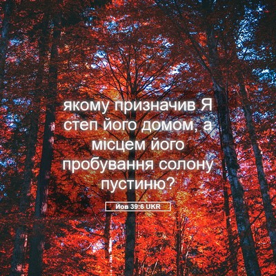 Picture 05 - Йов 39:6 UKR - якому призначив Я степ - Bible Verse Picture