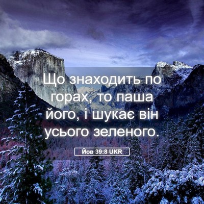 Picture 05 - Йов 39:8 UKR - Що знаходить по горах, то - Bible Verse Picture