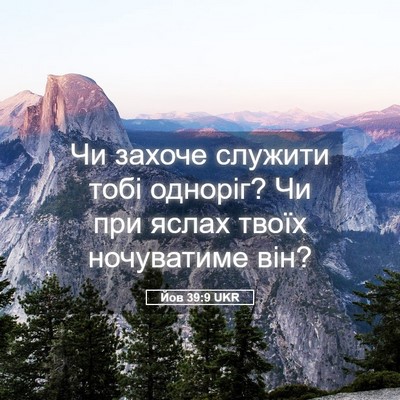 Picture 05 - Йов 39:9 UKR - Чи захоче служити тобі - Bible Verse Picture