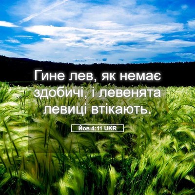 Picture 05 - Йов 4:11 UKR - Гине лев, як немає здобичі, - Bible Verse Picture