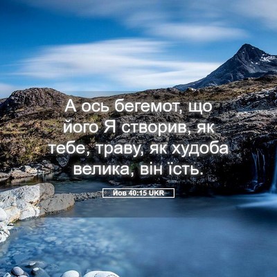 Picture 05 - Йов 40:15 UKR - А ось бегемот, що його Я - Bible Verse Picture