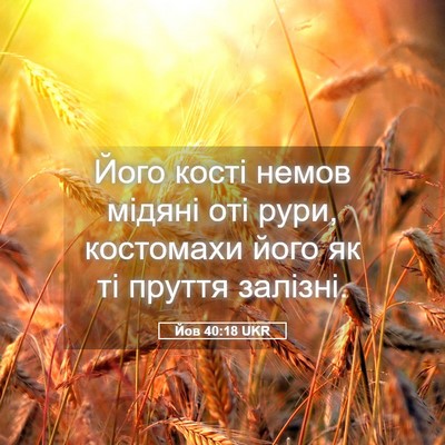 Picture 05 - Йов 40:18 UKR - Його кості немов мідяні - Bible Verse Picture