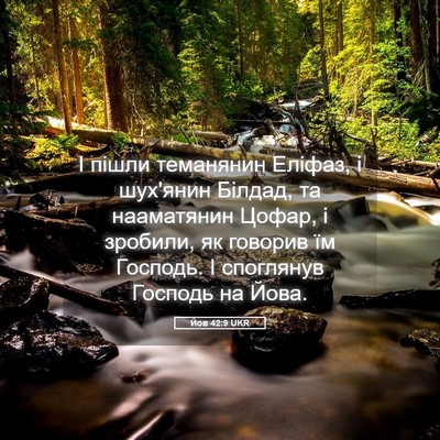 Picture 05 - Йов 42:9 UKR - І пішли теманянин Еліфаз, і - Bible Verse Picture