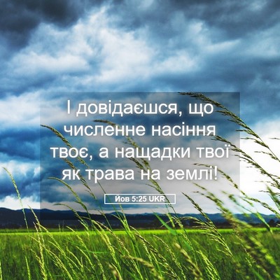 Picture 05 - Йов 5:25 UKR - І довідаєшся, що численне - Bible Verse Picture