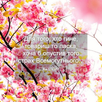 Picture 05 - Йов 6:14 UKR - Для того, хто гине, товариш - Bible Verse Picture