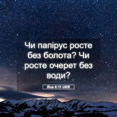 Picture 05 - Йов 8:11 UKR - Чи папірус росте без - Bible Verse Picture