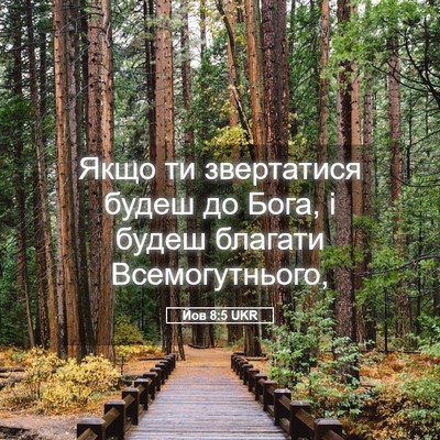 Picture 05 - Йов 8:5 UKR - Якщо ти звертатися будеш - Bible Verse Picture