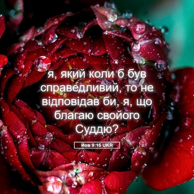 Picture 05 - Йов 9:15 UKR - я, який коли б був - Bible Verse Picture