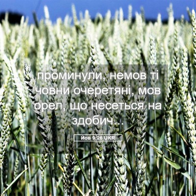 Picture 05 - Йов 9:26 UKR - проминули, немов ті човни - Bible Verse Picture