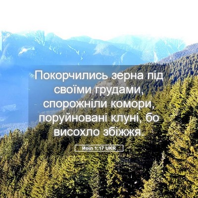 Picture 05 - Йоїл 1:17 UKR - Покорчились зерна під - Bible Verse Picture
