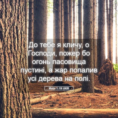Picture 05 - Йоїл 1:19 UKR - До тебе я кличу, о Господи, - Bible Verse Picture