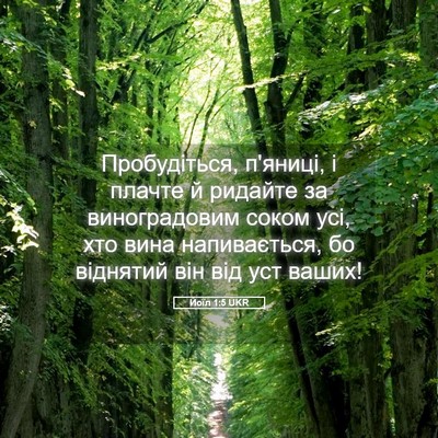 Picture 05 - Йоїл 1:5 UKR - Пробудіться, п'яниці, і - Bible Verse Picture