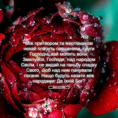 Picture 05 - Йоїл 2:17 UKR - Між притвором та - Bible Verse Picture