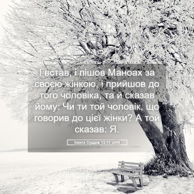 Picture 05 - Книга Суддів 13:11 UKR - І встав, і пішов Маноах за - Bible Verse Picture