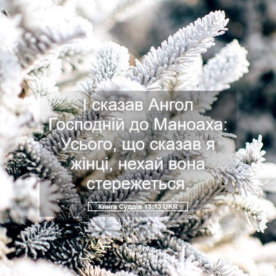 Picture 05 - Книга Суддів 13:13 UKR - І сказав Ангол Господній - Bible Verse Picture