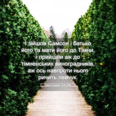 Picture 05 - Книга Суддів 14:5 UKR - І зійшов Самсон і батько - Bible Verse Picture