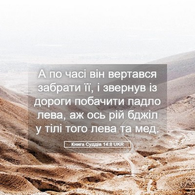 Picture 05 - Книга Суддів 14:8 UKR - А по часі він вертався - Bible Verse Picture