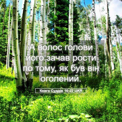 Picture 05 - Книга Суддів 16:22 UKR - А волос голови його зачав - Bible Verse Picture