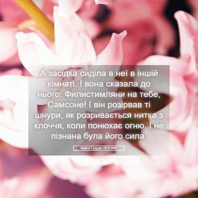 Picture 05 - Книга Суддів 16:9 UKR - А засідка сиділа в неї в - Bible Verse Picture