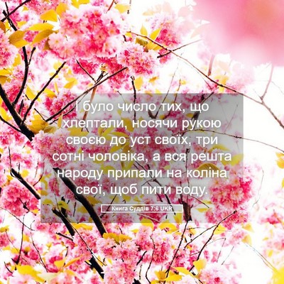 Picture 05 - Книга Суддів 7:6 UKR - І було число тих, що - Bible Verse Picture