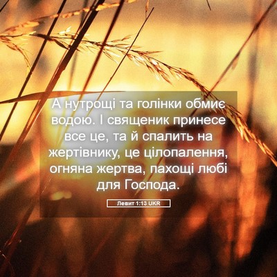 Picture 05 - Левит 1:13 UKR - А нутрощі та голінки обмиє - Bible Verse Picture