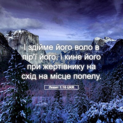 Picture 05 - Левит 1:16 UKR - І здійме його воло в пір'ї - Bible Verse Picture