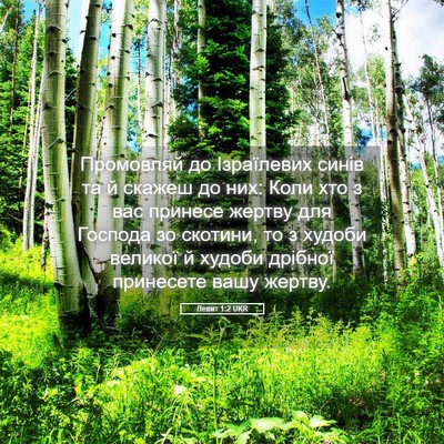 Picture 05 - Левит 1:2 UKR - Промовляй до Ізраїлевих - Bible Verse Picture