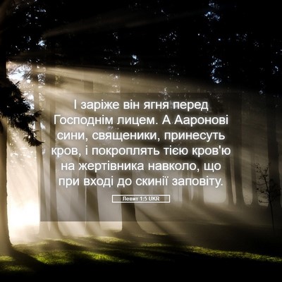 Picture 05 - Левит 1:5 UKR - І заріже він ягня перед - Bible Verse Picture