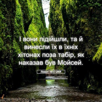 Picture 05 - Левит 10:5 UKR - І вони підійшли, та й - Bible Verse Picture