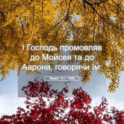 Picture 05 - Левит 11:1 UKR - І Господь промовляв до - Bible Verse Picture