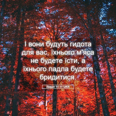 Picture 05 - Левит 11:11 UKR - І вони будуть гидота для - Bible Verse Picture